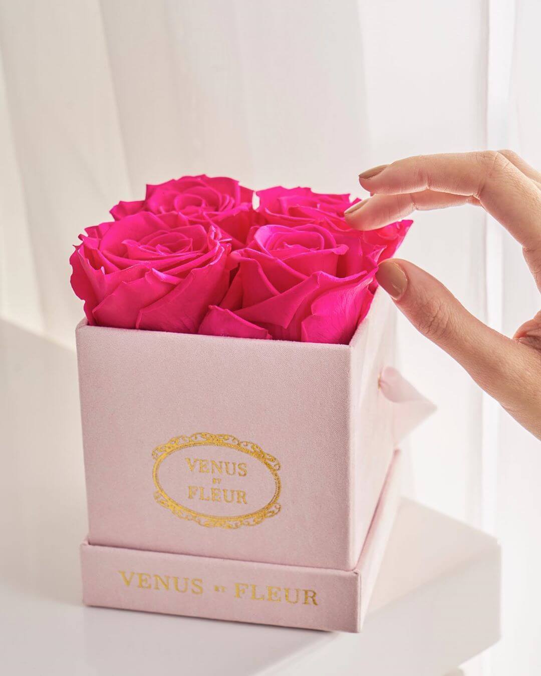 ¡Los arreglos de Venus ET Fleur son ideales para cualquier ocasión!