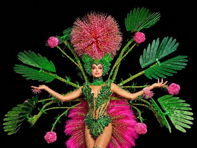 Jennifer Barreto con el traje típico del moriviví y sus seis grandes hojas abiertas